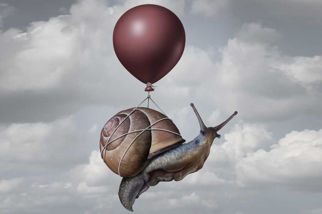 Rust slow to compile? Here’s how to speed it up snail slow internet improvement freedom