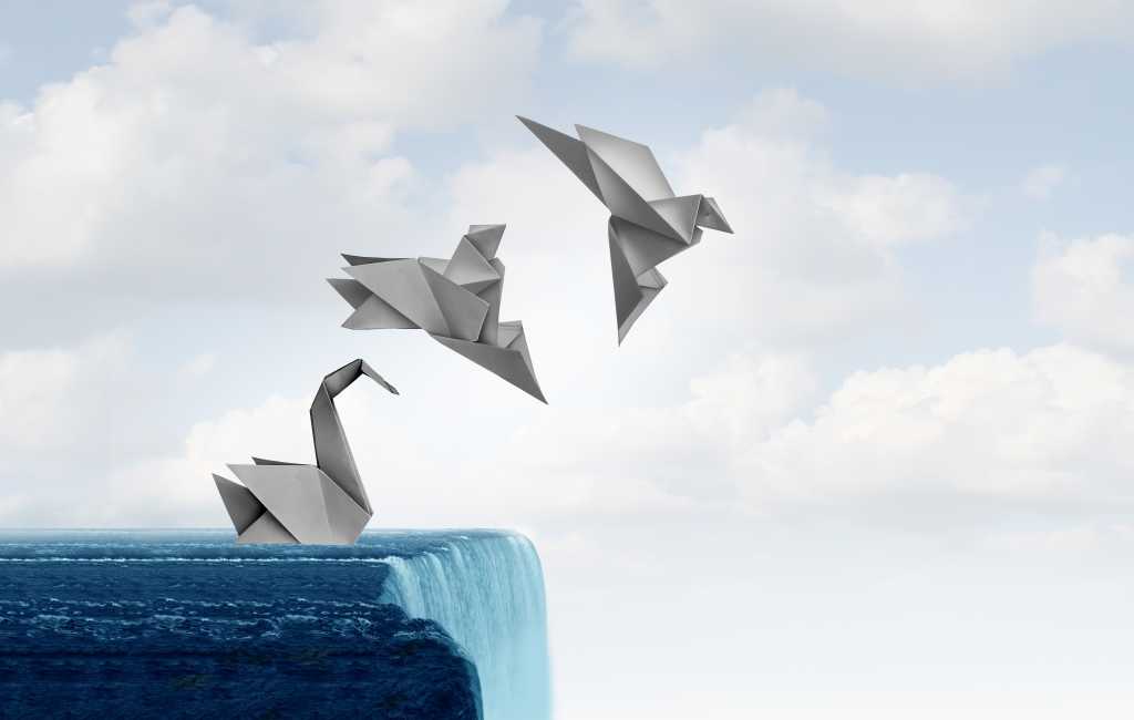 The browser is your database: Local-first comes of age Innovate to Adapt to changes and transforming facing futur danger as a business metaphor or life success symbol to find a clever solution to survive and prosper as origami icons.