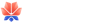 Mayflower: Design System Designer Mayflower: Design System Designer