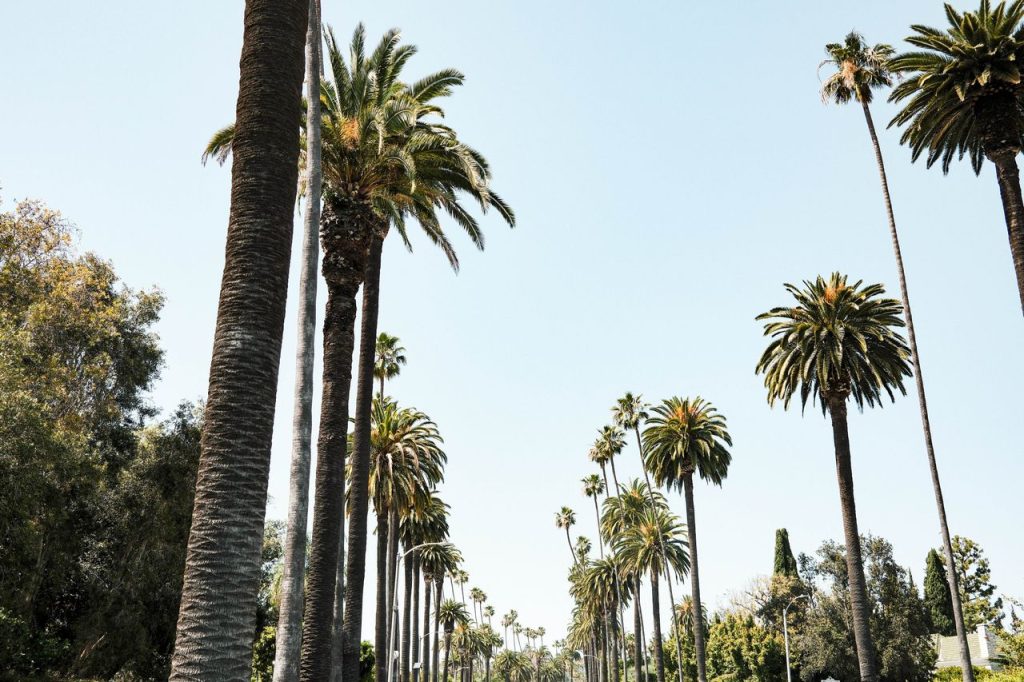 Why Southern California Can Feel Harder After the Honeymoon Ends Why Southern California Can Feel Harder After the Honeymoon Ends