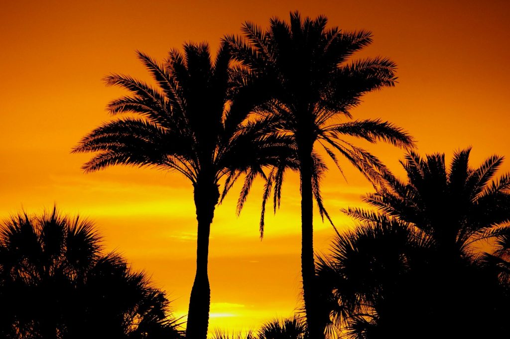 Florida Residency For Digital Nomads: What To Know About ID And Address Requirements Florida Residency For Digital Nomads: What To Know About ID And Address Requirements
