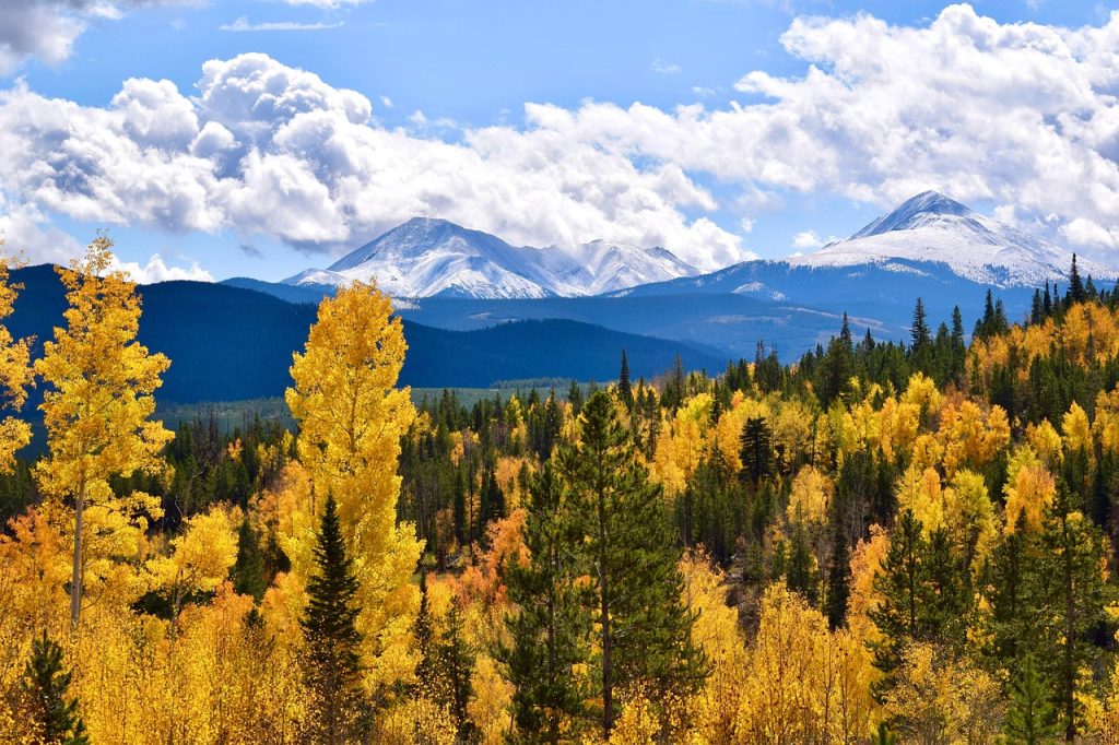 When An Injury Interrupts Work In Colorado: How Missed Income Fits Into A Claim When An Injury Interrupts Work In Colorado: How Missed Income Fits Into A Claim